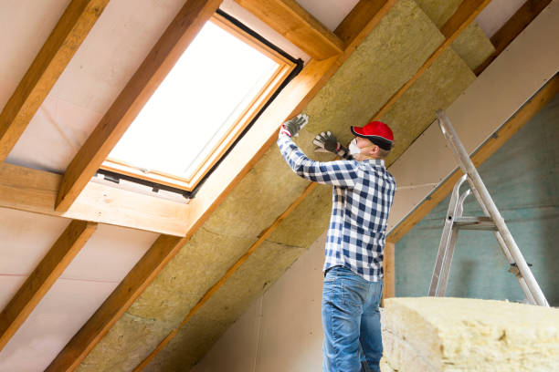 Best Batt and Roll Insulation  in Verona Walk, FL