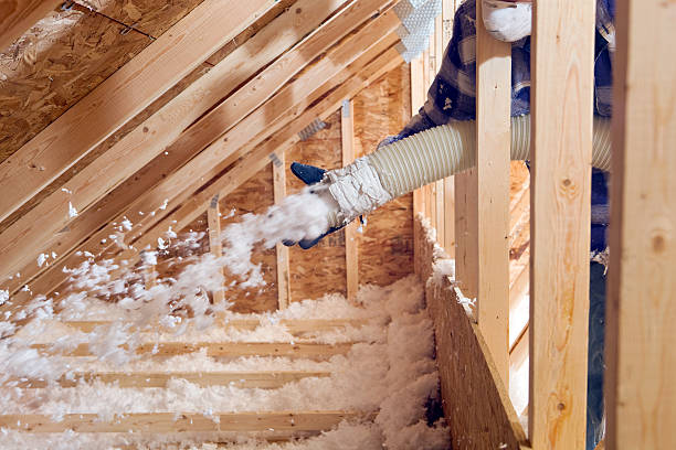 Best Spray Foam Insulation  in Verona Walk, FL