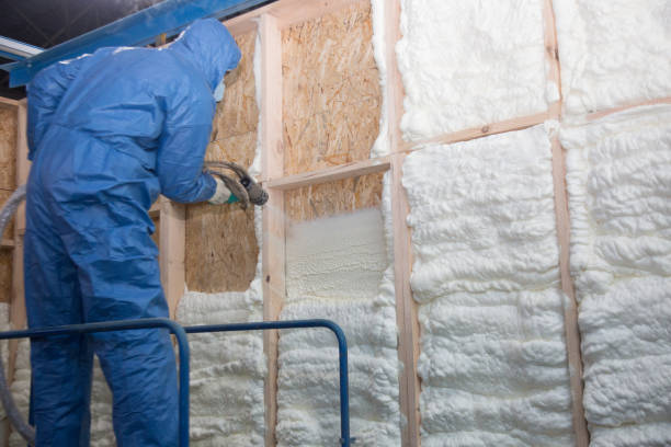 Types of Insulation We Offer in Verona Walk, FL